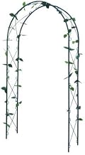Soporte para Plantas trepadoras, 230 x 100 x 37 cm, Metal, Color Negro