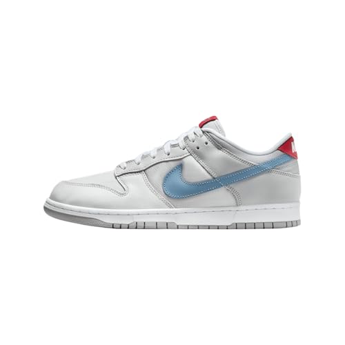 Nike Dunk Low Men's Shoes (HF0391-001, Metallic Silver/Neutral Grey/Flat Silver/Aegean Storm) Size 7