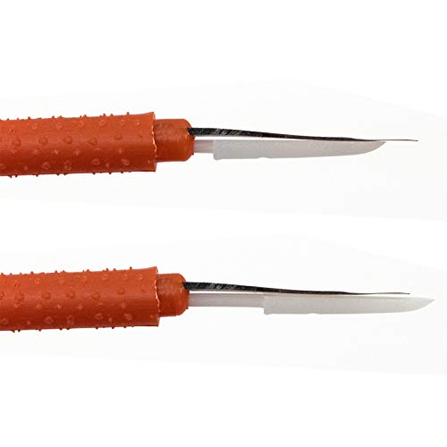 BEEComb Imkerei 2 er Set UMLARVNADEL 11 cm, Holz/Kunststoff | Umlarvlöffel, Bienenköniginnen Zucht, Imker Pfropfen… – Bild 5