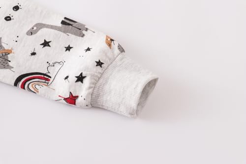 Image of AIWUHE Toddler Cotton Sweatshirt Boys Girls Pullover Long Sleeve Tops 2-6Y