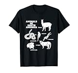 Tiere Tierarten Kontinente Design