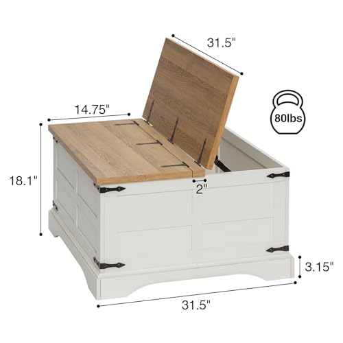 Wnutrees Farmhouse Coffee Table with Hinged Lift Top