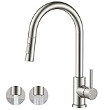 FORIOUS Kitchen Faucet with Pull Down Sprayer, Classic Single Hole Kitchen Sink...