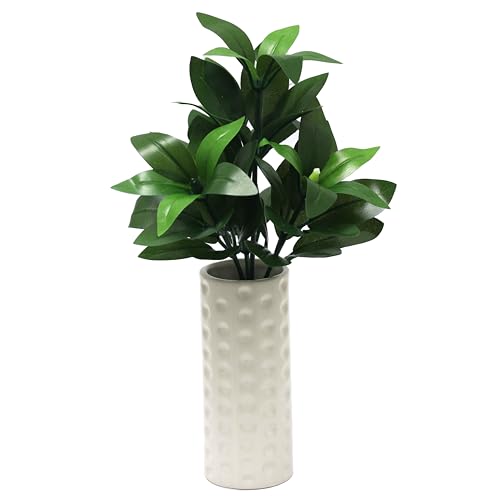 dEOp VL~  28.5cm ԕrt y͂ȂEsvzAȎŕɍœK E@vEފ݁E~