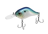 Bill Lewis Lifelike MR-6 Mid-Range MDJ Series 6Ft. Floater Diver 1/2 OZ Crankbait Fishing Wobble Lure for Freshwater, Threadfin 2.0
