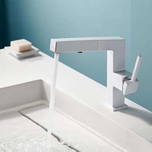 Robinet de lavage en laiton gris avec douchette intégrée LWX