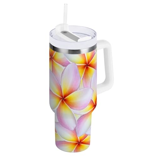 alaza ^NG`[ }O{g 1.2L  ۗ  킢ԕ  X|[c{g ӂt ^fM e AEghA ItBX