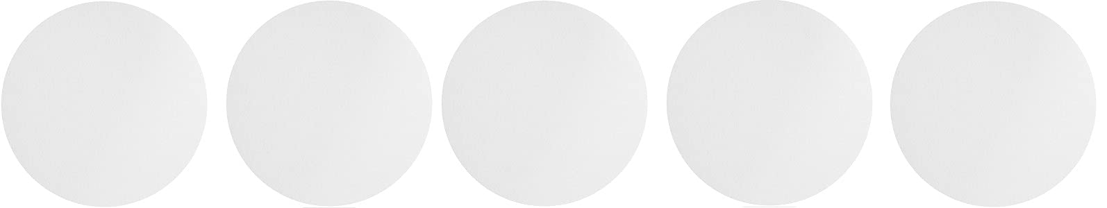 Whatman 1003-090 Quantitative Filter Paper Circles, 6 Micron, 26 s/100mL/sq inch Flow Rate, Grade 3, 90mm Diameter (Pack of 100) (5)