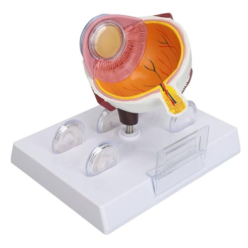 FAA Chart: Enroute Low Altitude L31/32 ELUS31 (Current Edition)