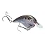 Natural Shad
