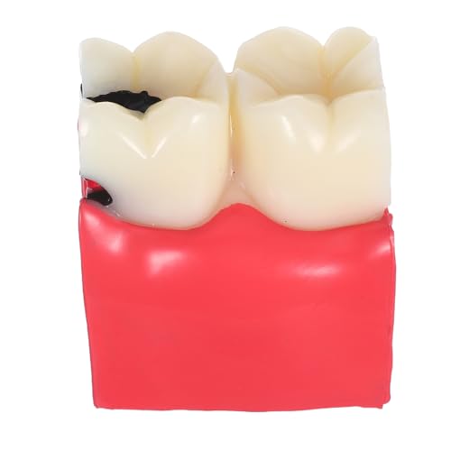 CIYODO ꚐI����p���͌^ 6�{�g�咎����r���f�� ��U�w�����p ����c�[�� ���Ґ��� �w�Z���ƑΉ�