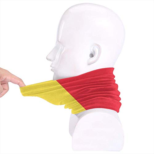 Neck Gaiter Windproof Mask Bandana, Balaclava Headwear Protection Warmer Headband, Mouth Face Cover Scarf Reusable Headwrap for Outdoors Cycling Riding 10X12Inch