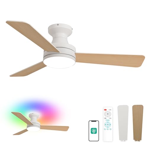 Orison 42-Inch Ceiling Fans with Lights, Low Profile, Flush Mount,