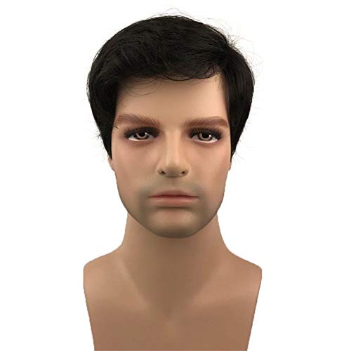Aimole Mens Wigs Short Black Straight Hair Synthetic Full Wig(2 Black)
