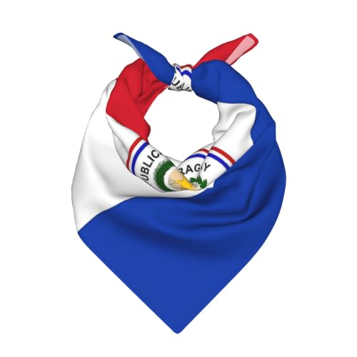 MUKIO Paraguay Flag Women Bandanas 22 x 22 In