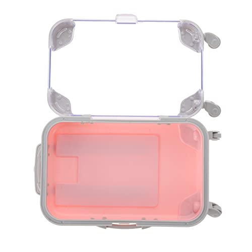 Beavorty 1pezzi Scatola Per Ciglia Finte Serratura Contenitore Per Ciglia in Plastica Organizzatore Per Finte Scatola Per Imballaggio Custodia Per Portatile