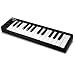 Akai Professional LPK25 | 25 Key Portable USB MIDI Keyboard Controller for Laptops (Mac & PC)