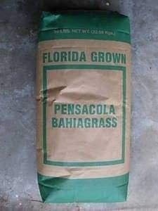 SeedRanch Pensacola Bahia Grass Seed - 25 Lbs