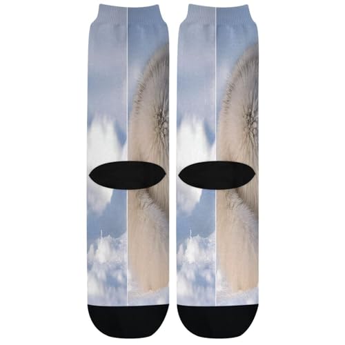 Bolaz Crew Socks Comfort All-season Socks Rainbow Arctic Fox for Man Woman