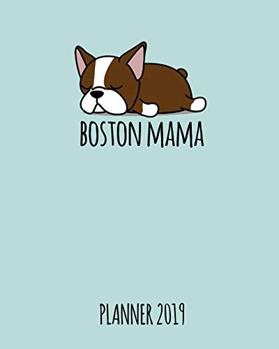 Home Decor Boston Terrier Stocking Ornament E S Imports Inc Orn221
