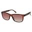 Shiny Dark Brown / Gradient Brown