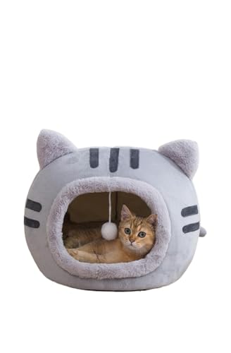 Diexgiy H~pLbgxbh LX^CAX^CAgA^AA݂AfMAh (C,S)