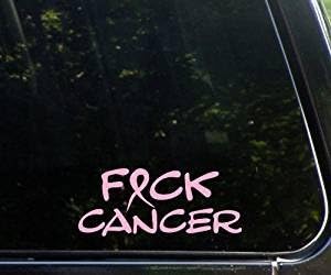 KickAssDecals FCK Cancer! - Pink Window Cancer Vinyl Decal/Sticker