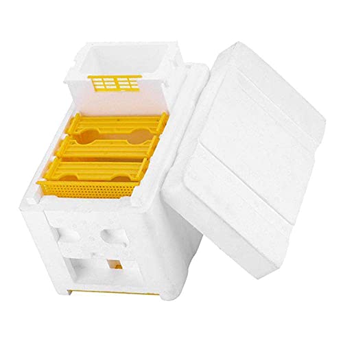 Baoblaze Honig Bienenstock Beehive Super Bienenkasten Imkerei – Bild 6