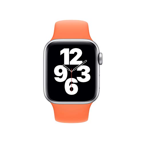 Image of Apple Watch Band - Sport Band (40mm) - Kumquat - Regular