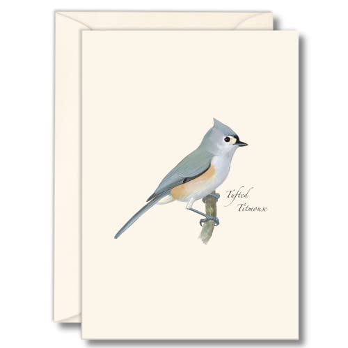 Image of Earth Sky + Water - Tufted Titmouse Notecard Set - 8 Blank Cards with Envelopes