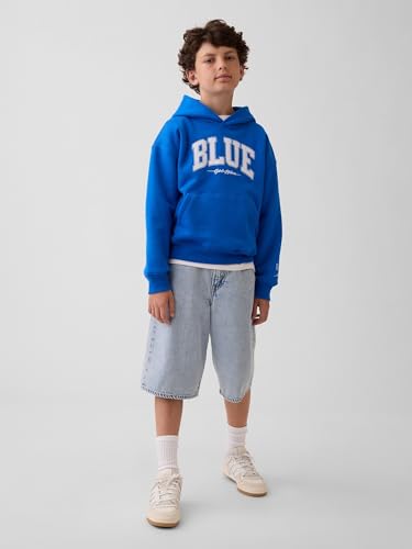 Image of GAP Boys' Get Blue Hooded Pullover