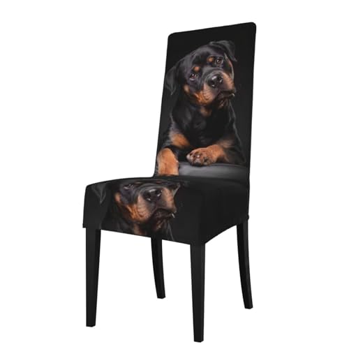WZQAMDP Rottweiler cariñoso, confiado y Leal,Fundas de Silla Estampadas, elásticas, para Comedor, Hotel, Cocina y Ceremonia.