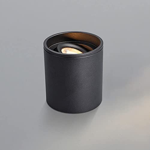 Spotlight de l'accent LED 12W noir orientable pour éclairage de surface montée moderne