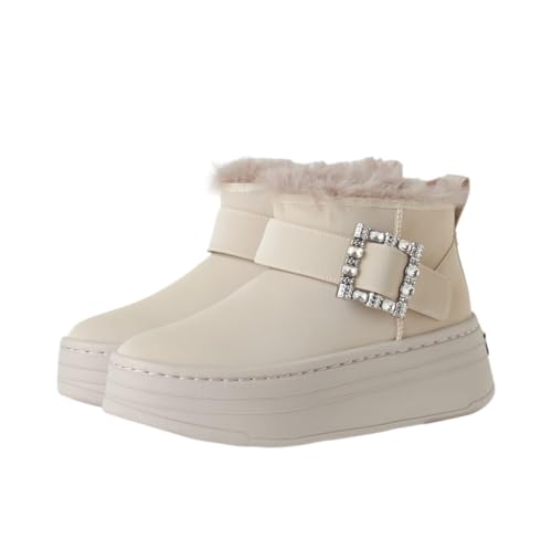 [_CAi] ׽޲ V[gu[c x[W 23.5cm 172875600011