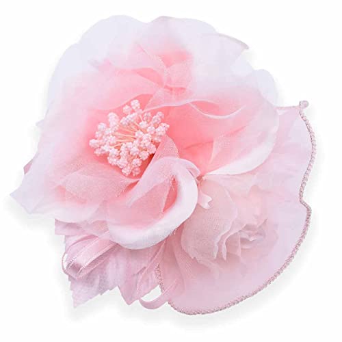 [qH|] RT[W tH[} 傫 ͂܂Ȃ o tH[}RT[W fB[X ~L[sN