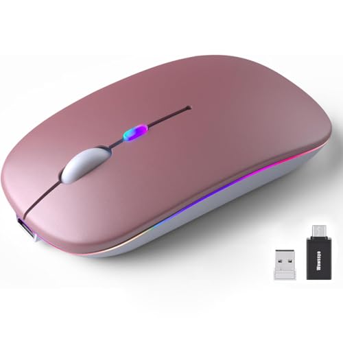 Wowssyo Souris sans fil USB 2,4 GHz - Souris Bluetooth - Suivi optique 1600 DPI - Double mode rechargeable - Pour ordinateur portable, PC, iOS, Android, iPad,...
