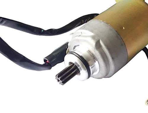 Starter Motor Assembly for Dongfang 200CC Go Kart DF200GKA