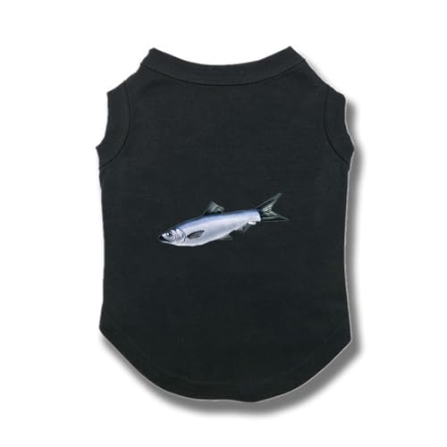 ZSDGBZ  ėp XS ⊴ TVc ^  ʋC  ΍ p^Ngbv t  Ă΍ 畆ی X|[cEFA JWA Lk  o U