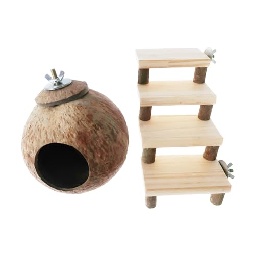 MYCENSE RRibcnX^[nEX KiœoėV P[W n