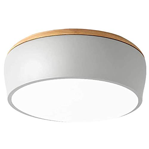 Plafonnier LED Moderne Luminaire Nordique - Lampe de Plafond Créative pour Chambre et Café