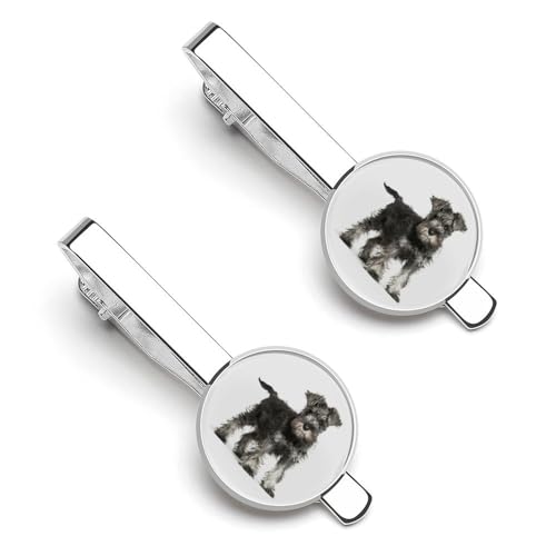 lN^Cs 2{Zbg ViEU[  ^C^bN ߑANZT[ am   w d rWlX  ̓ Y j v[g