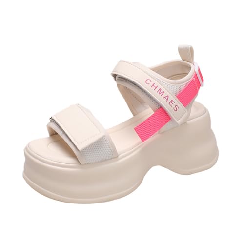 [D.IIZOO] T_ fB[X I[vgD 5cmgAbv Xgbvt RtH[g ItBXT_ ėp (x[W, {̌C̃TCY@, l, l, 24.5 cm)