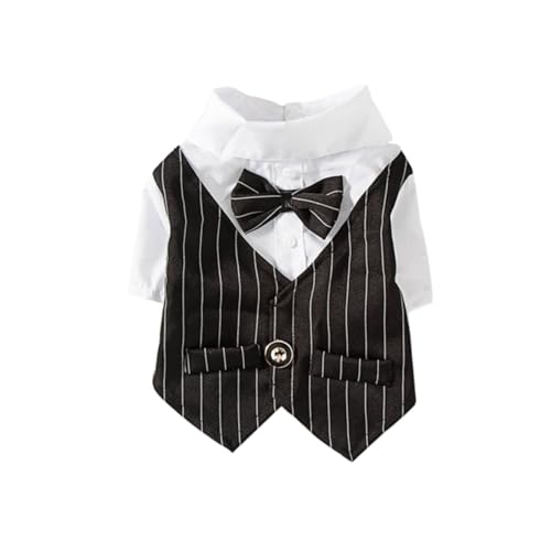 Levemolo ptH[}hXX[c  tČ  p[eB[ ʐ^Bep ybgߑ ŉKȑϋvfނŒEȒP