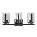 Forte 5187-03-32 Three Bath Lighting, Bronze