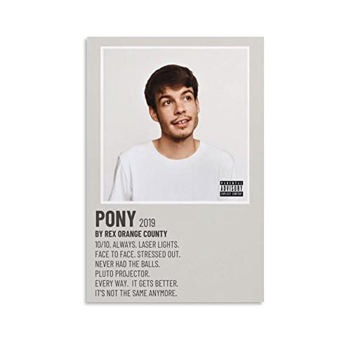 Affiche Rex Orange County PONY 1 impression sur toile 50x75 cm pour décoration murale