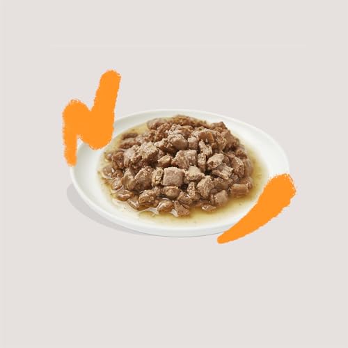 Edgard Cooper Nassfutter für Katzen in Sauce Multipack24 x 85g Katzenfutter Nass Multipack mit verschiedenen Geschmacksrichtungen natürliche Zutaten frisches Fleisch