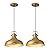 ALAISLYC Gold Farmhouse Pendant Lights Matte Pendant Lighting for Kitchen Island Industrial Adjustable Height Vintage Dome Hanging Light Fixtures for Barn, Dining Room 2 Packs