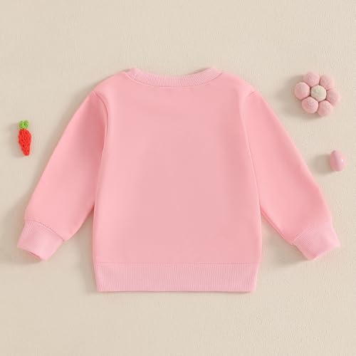 Dcohmch Toddler Girl Boy Easter Outfit Bunny Embroidered Shirt Sweatshirt Long Sleeve Pullovers Baby Spring Clothes4