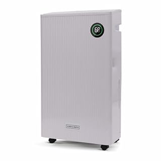 Olsen & Smith 20L/Day Portable Quiet Dehumidifier and HEPA Air Purifier Dehumidifiers for Home Damp with Laundry Mode, 11p/h to run, for Bedroom Drying Clothes Kitchen Bathroom 5.5L Tank & Hose