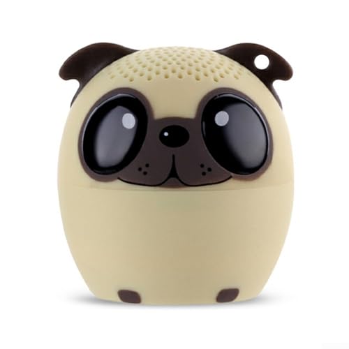 Altoparlante con aspetto carino e caratteristiche pratiche per gli amanti della musica ovunque leggero wireless